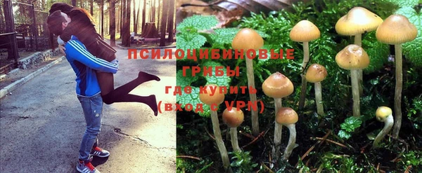 дживик Богородицк