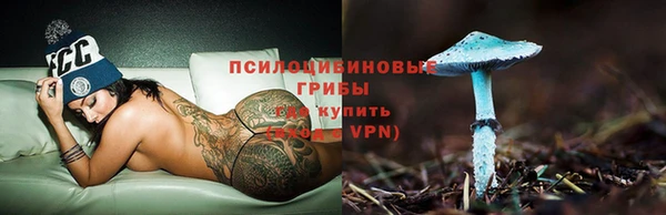 дживик Богородицк